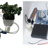 Автоматический полив растений (готовый набор)